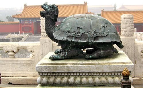dragon turtle1
