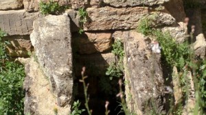 ΑΕΡΑΓΩΓΟΣ 2