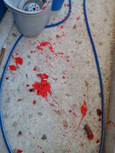 14671325_1387176107974053_343401612842371669_n