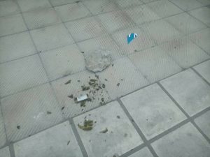 15193464_10206197722100859_1148309052483854901_n